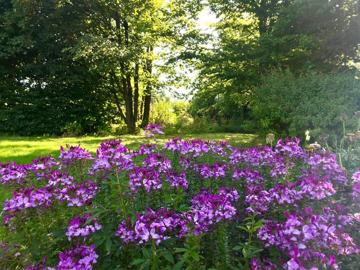 "Un Matin Au Jardin" Bed & Breakfast Francorchamps Dış mekan fotoğraf